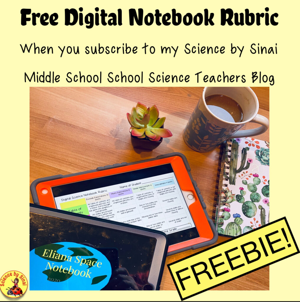 Freebie rubric for grading digital science notebooks