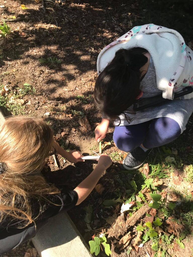 Students on a scavenger hunt for abiotic and biotic elements in the schoolyard