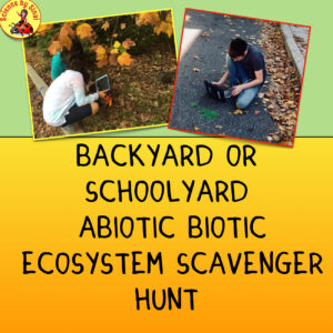 Abiotic biotic scavenger hunt