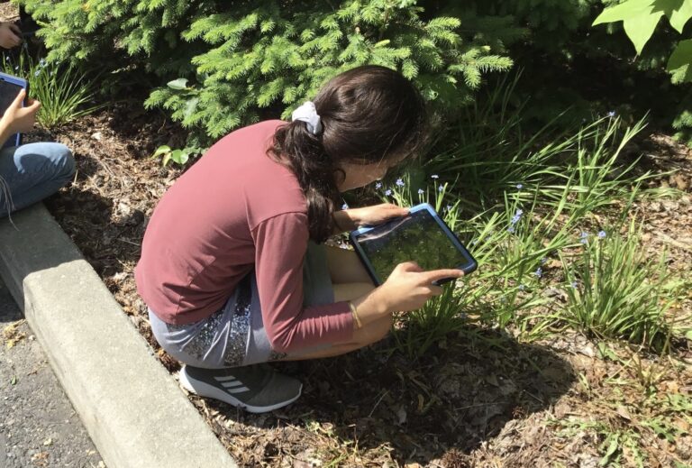 Go Outdoors on an Exciting Schoolyard Ecosystem Scavenger Hunt!