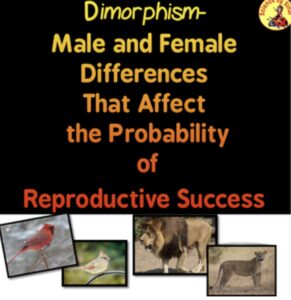 Dimorphism CER activity. Male and female differences that affect the probability of reproductive success.