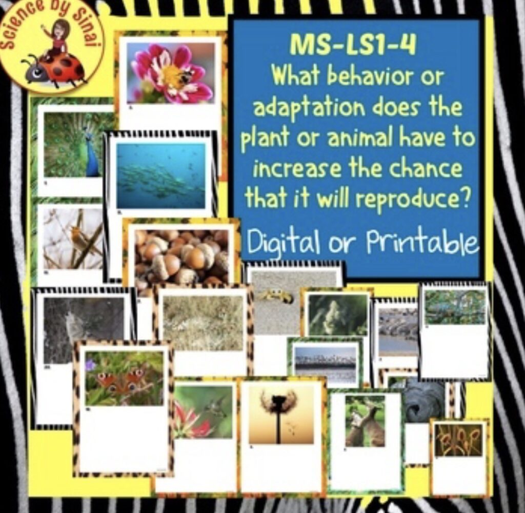 MS-LS1-4 What behavior or adaption does the plant or animal have to increase the chance that it will reproduce?