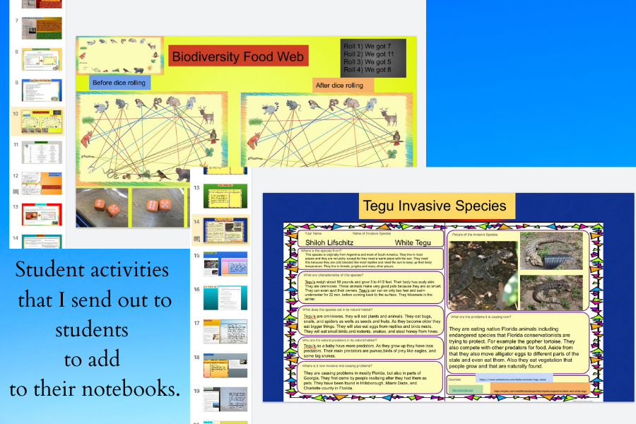 Projects on digital notebooks