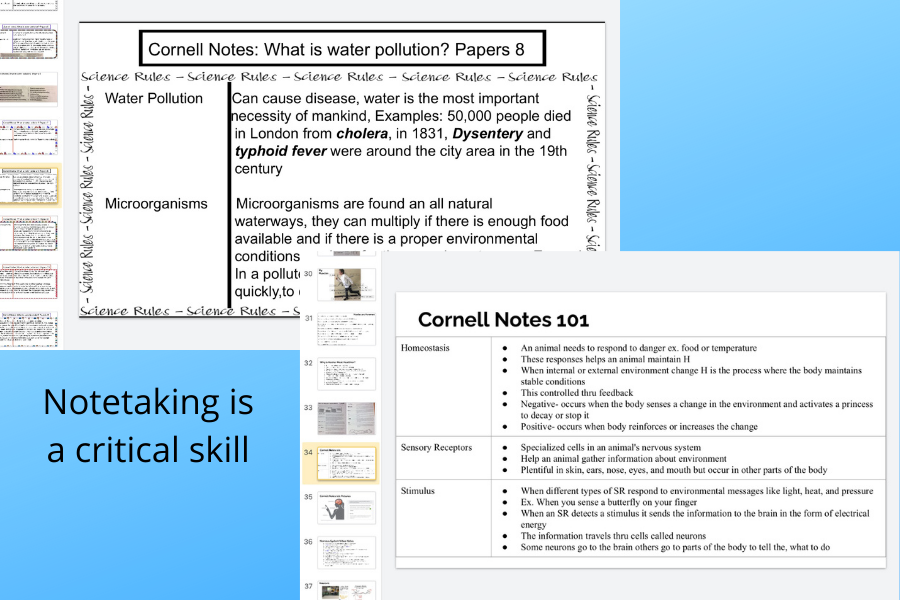 Cornell notes