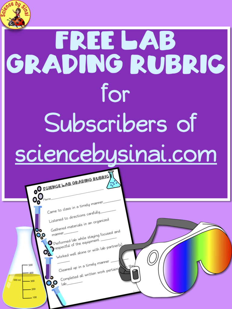 Lab Grading Rubric