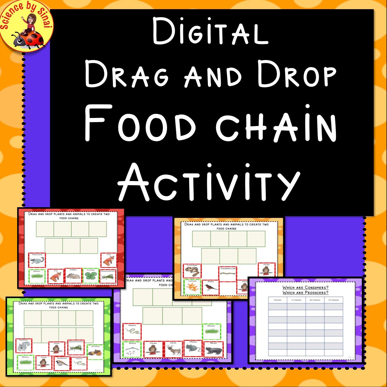 Digital Drag and Drop - Food Chain Activity