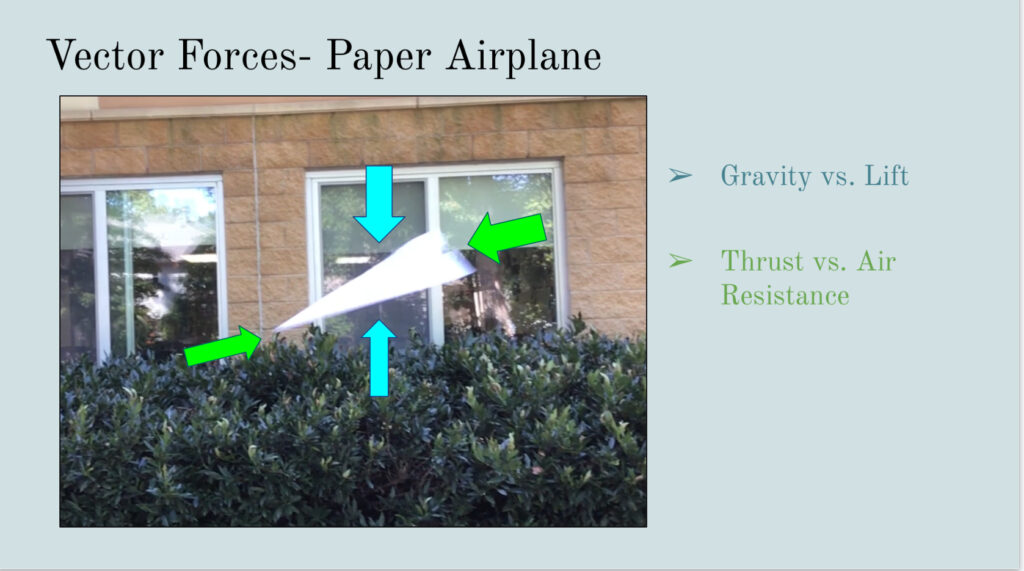 Vector forces paper airplane