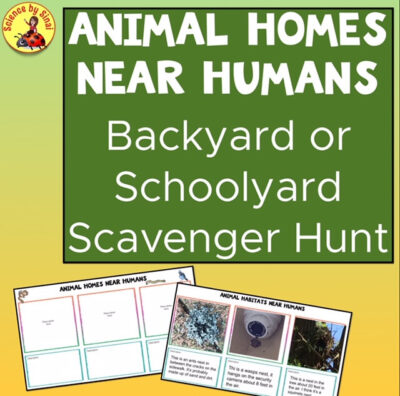 ANIMAL HOMES NEAR HUMANS - BACKYARD OR SCHOOL SCAVENGER HUNT - Science By  Sinai