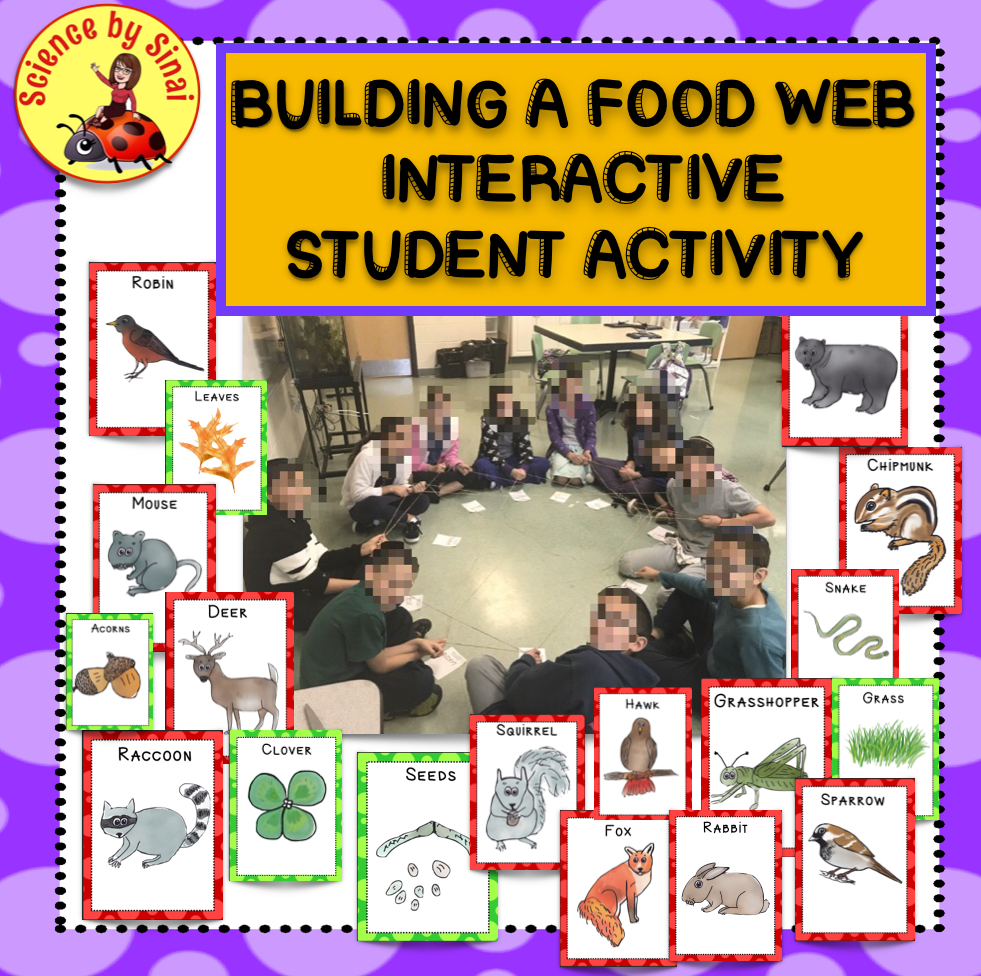 Build a food web science by sinai
