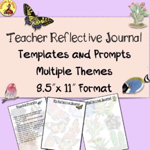 Teacher reflective journal