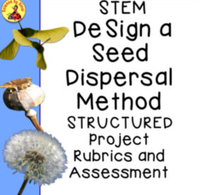 Deign a seed and dispersal method stem project