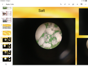 Salt under microscope