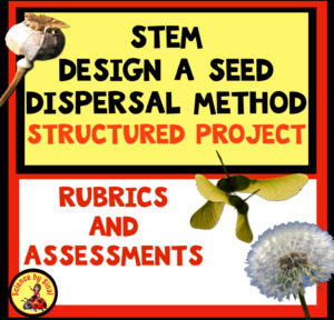 Stem seed dispersal project