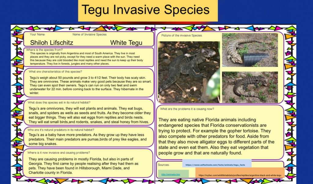 create your own food web assignment