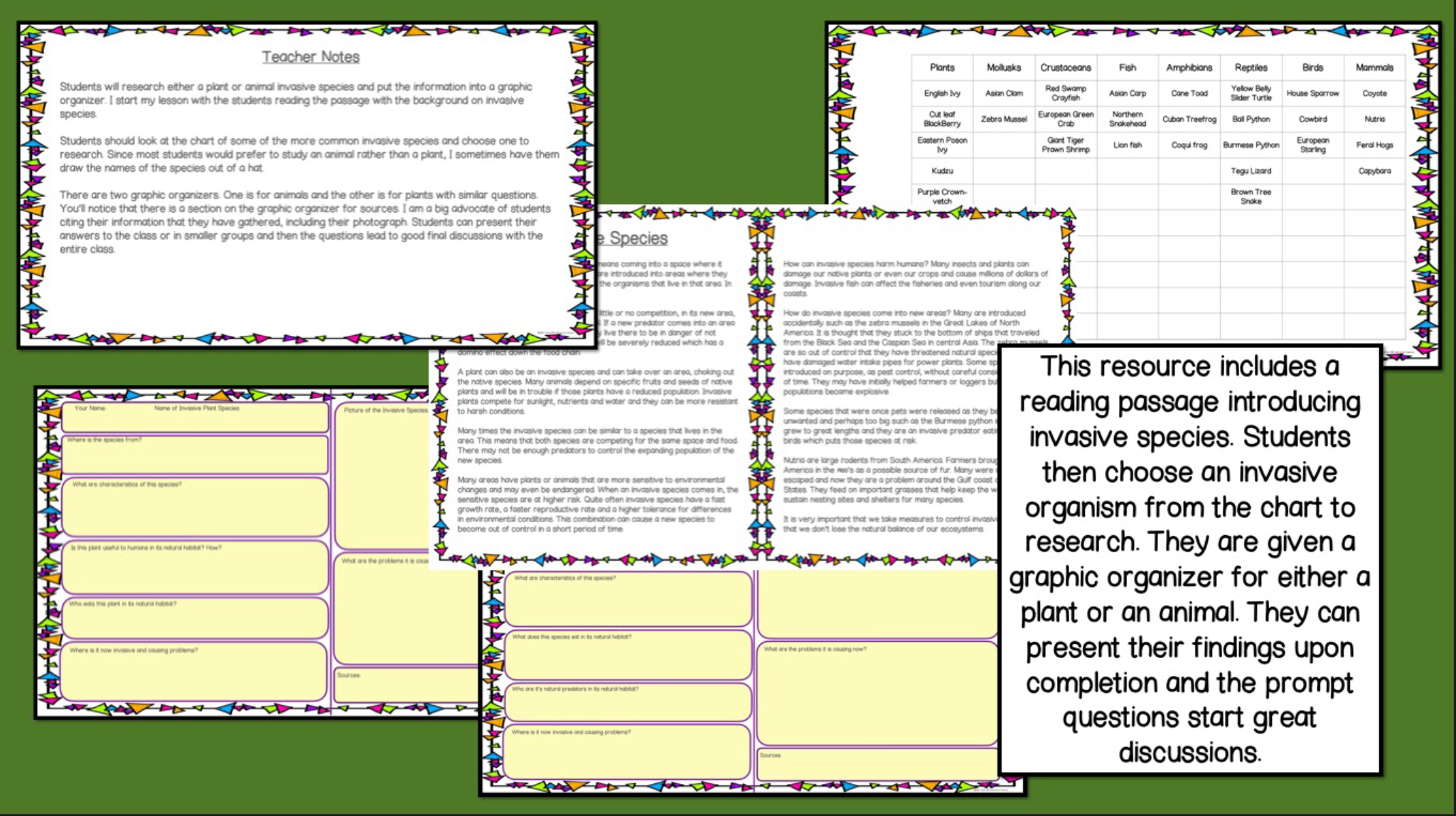 create your own food web assignment