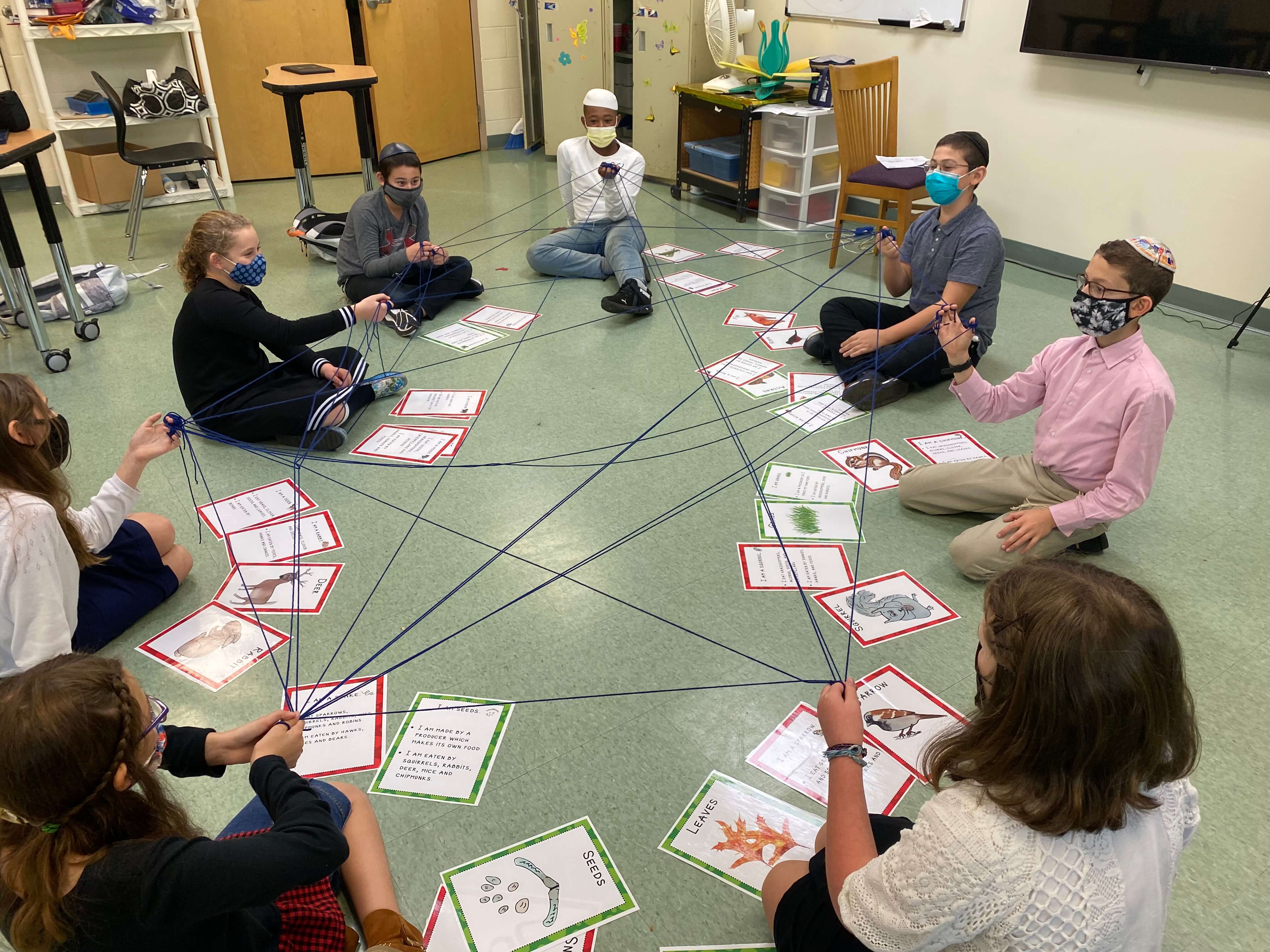 How to Make Food Webs Interactive and Fun!