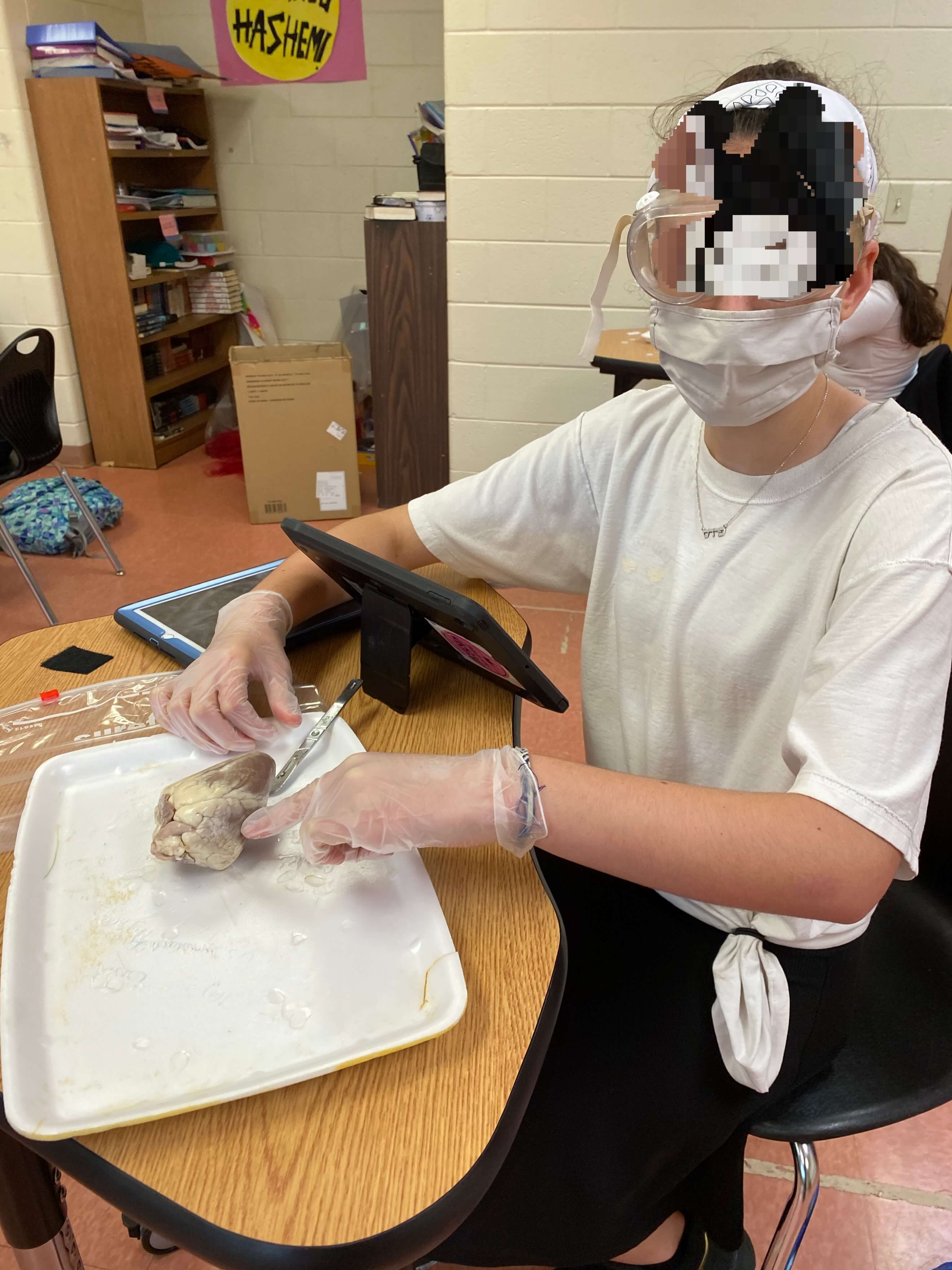 Taking photos and videos of dissection helps make the activity last longer