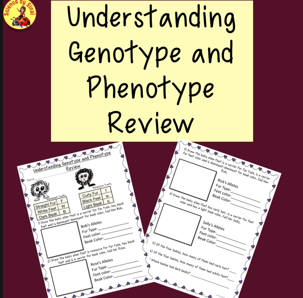Free phenotype and genotype review worksheets