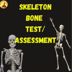 . Free Skeleton quiz