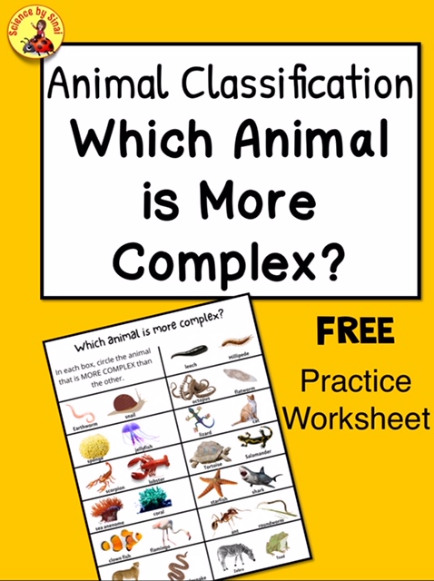 Animal Classification – Which Animal Is More Complex?
