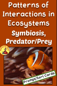 Patterns of interactions in ecosystems symbiosis, predator prey activity science by Sinai