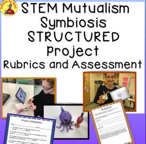 Structured STEM Symbiosis project
