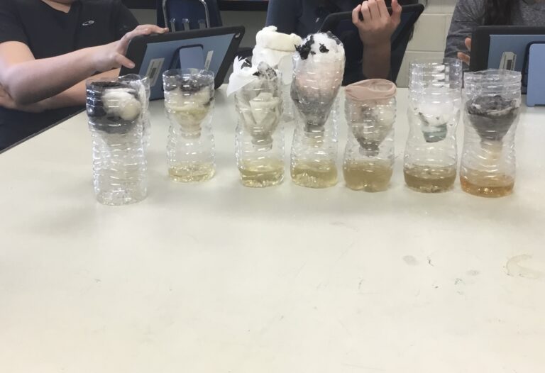 Design Water Filters With This Exciting STEM Project!