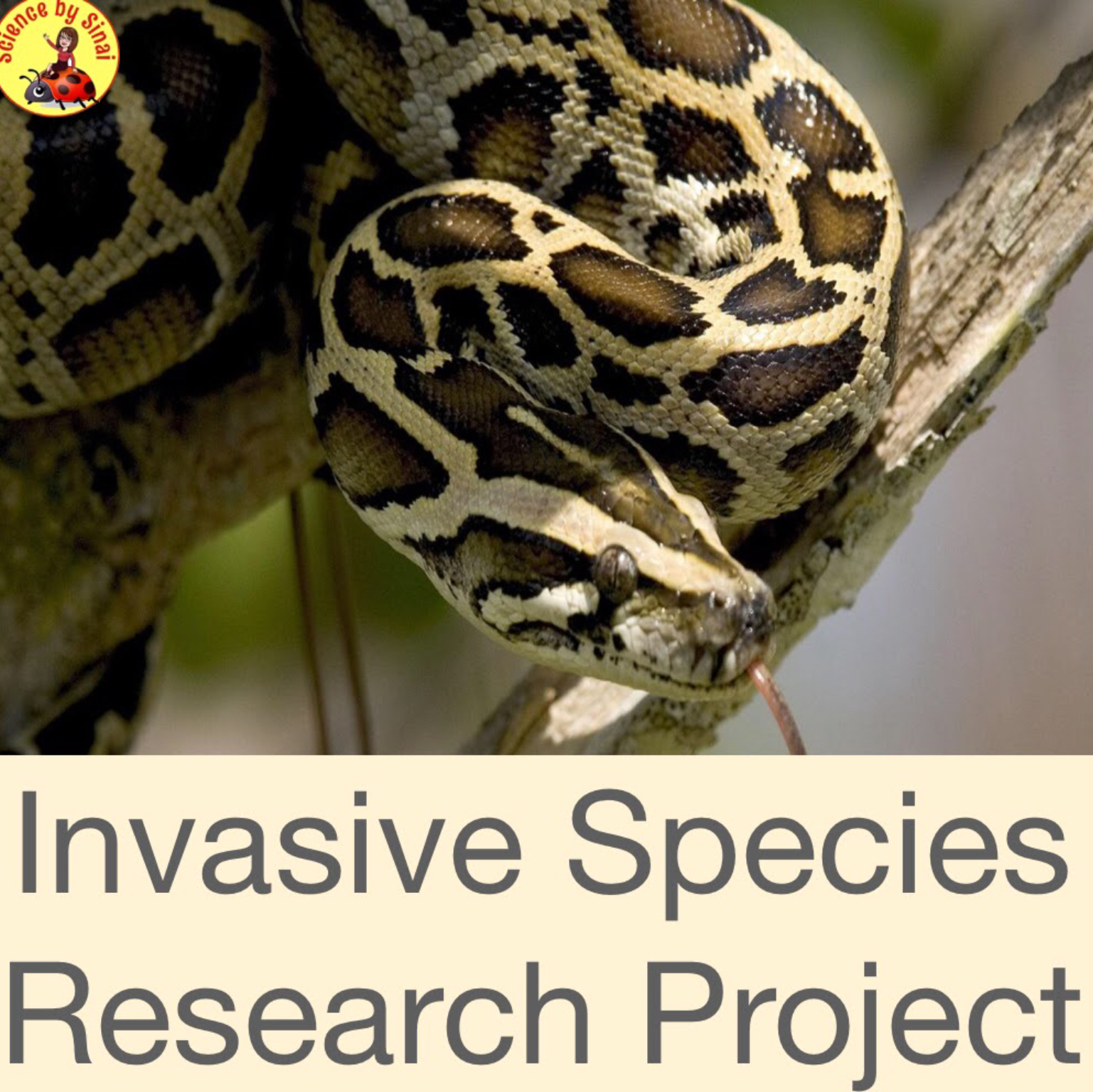 Teaching Students About the Threat of Invasive Species Biology Diagrams