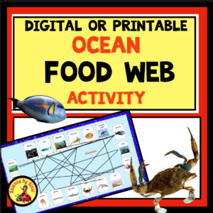 Digital or printable ocean food web ctivity. Science by Sinai