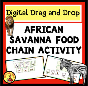 African savanna Safari food chain drag and drop activity. Science by Sinai