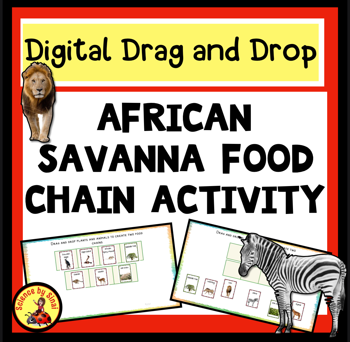 How to Make Food Webs Interactive and Fun Biology Diagrams