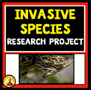 Invasive species desert food web dice roll game. Science by Sinai