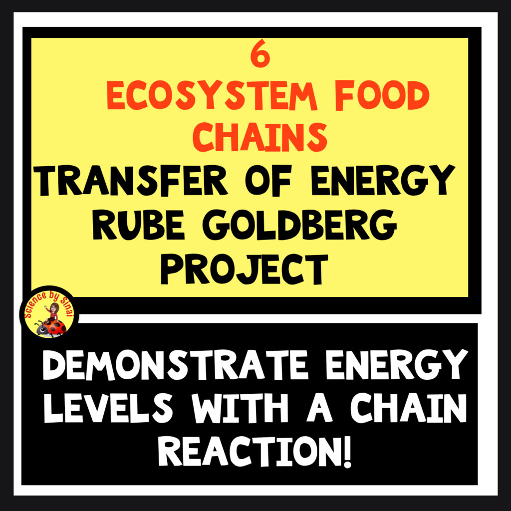 Stem energy project using Rube Goldberg machines and food chains science by sinai