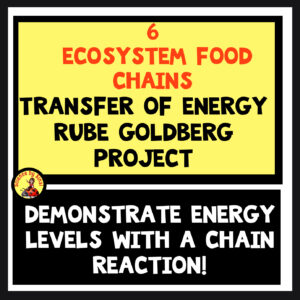Rube Goldberg energy transfer food chain project science by sinai