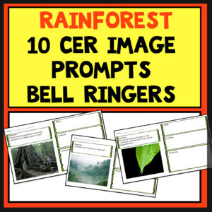 Rainforest CER science image prompts science