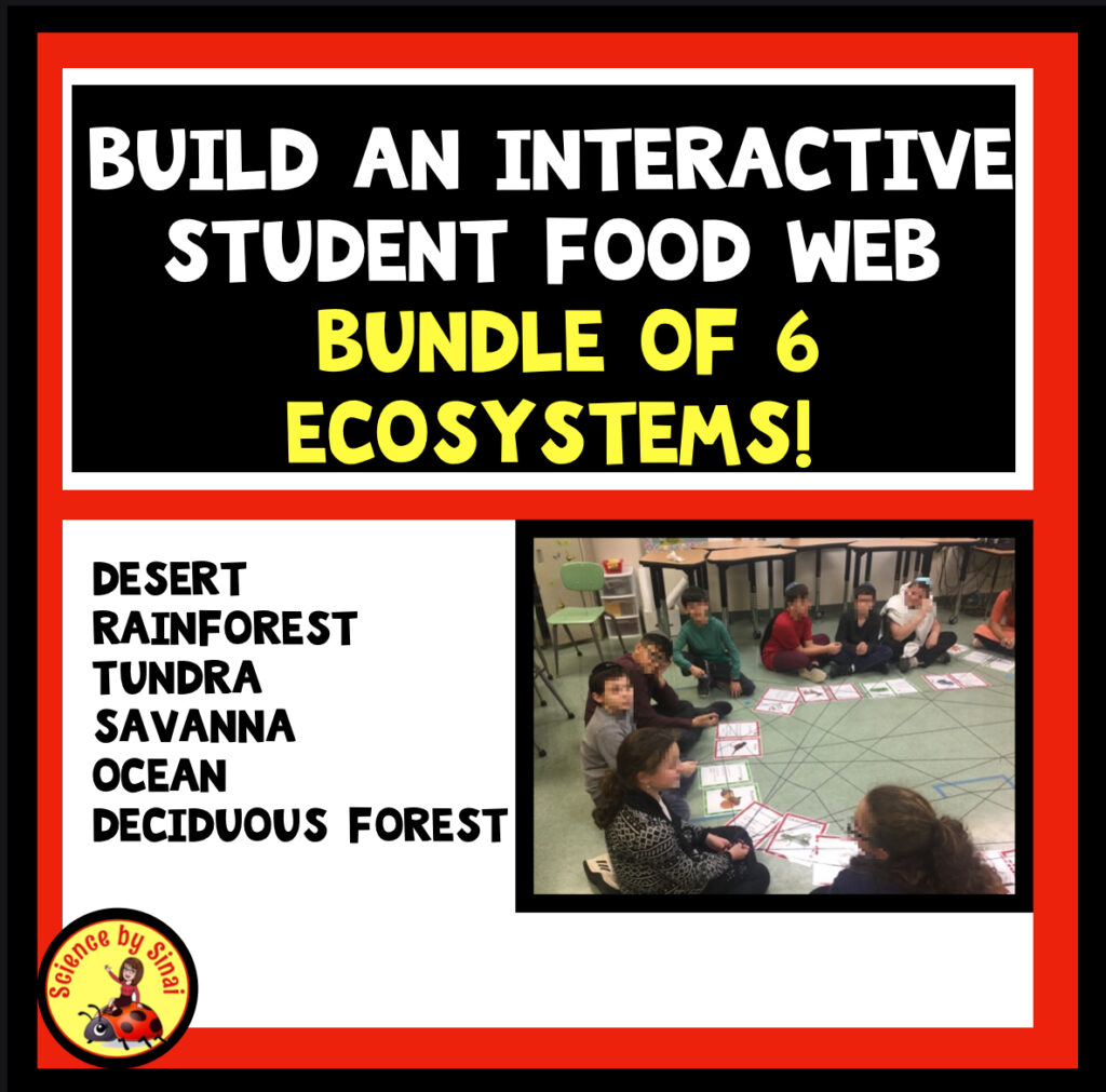 Build An Interactive Student Food Web! - Science By Sinai