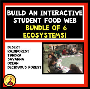 food web activity for elementary students