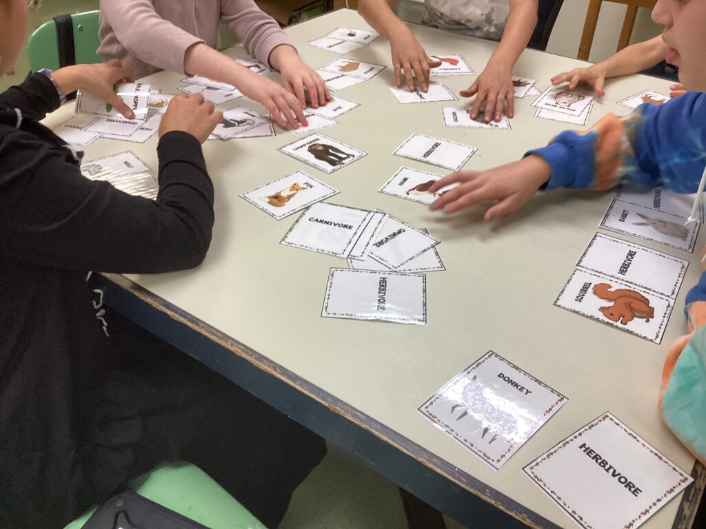 12 Ways to Use Sort Cards in the Science Classroom