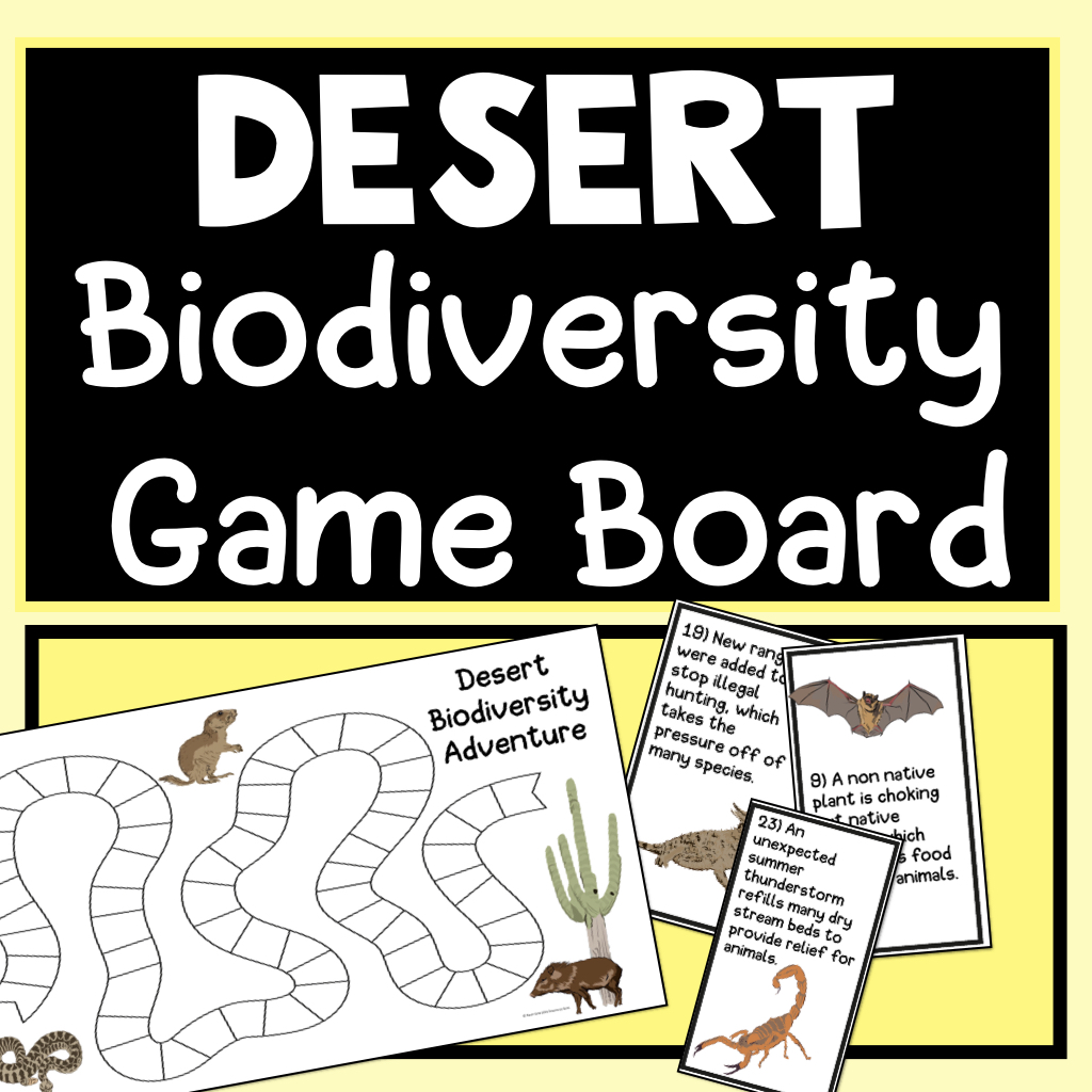 Biodiversity of the desert game board – science by Sinai. 