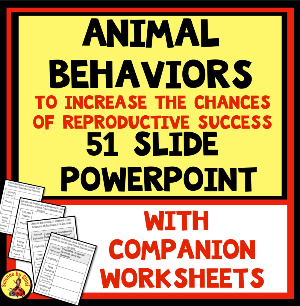  Animal behaviors PowerPoint with companion worksheets science by Sinai