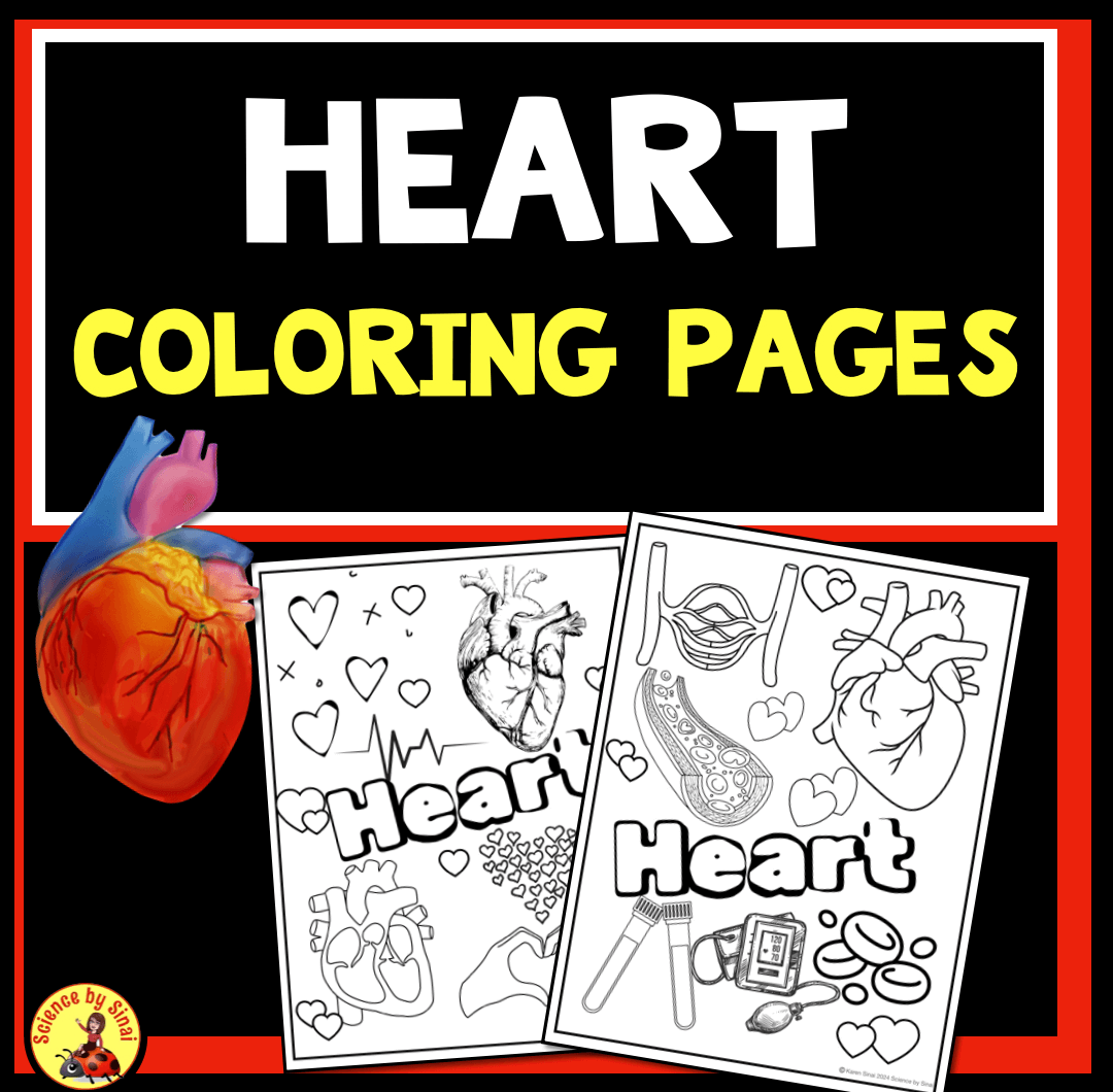 Heart Color Activity