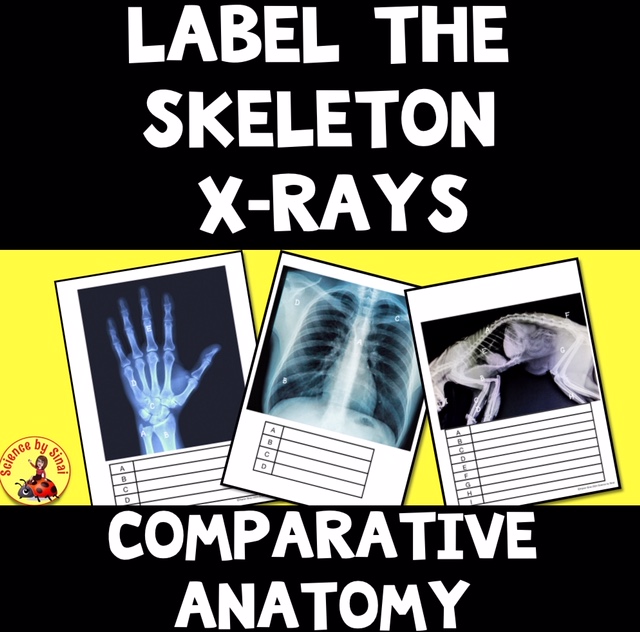 Label the Skeleton X-Rays – Comparative Anatomy