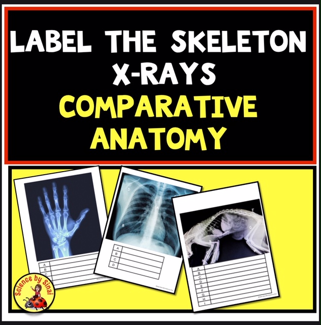 Label the Skeleton X-Rays – Comparative Anatomy