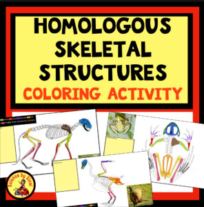 Homologous skeletal structures coloring activity. Sciencebysinai.com