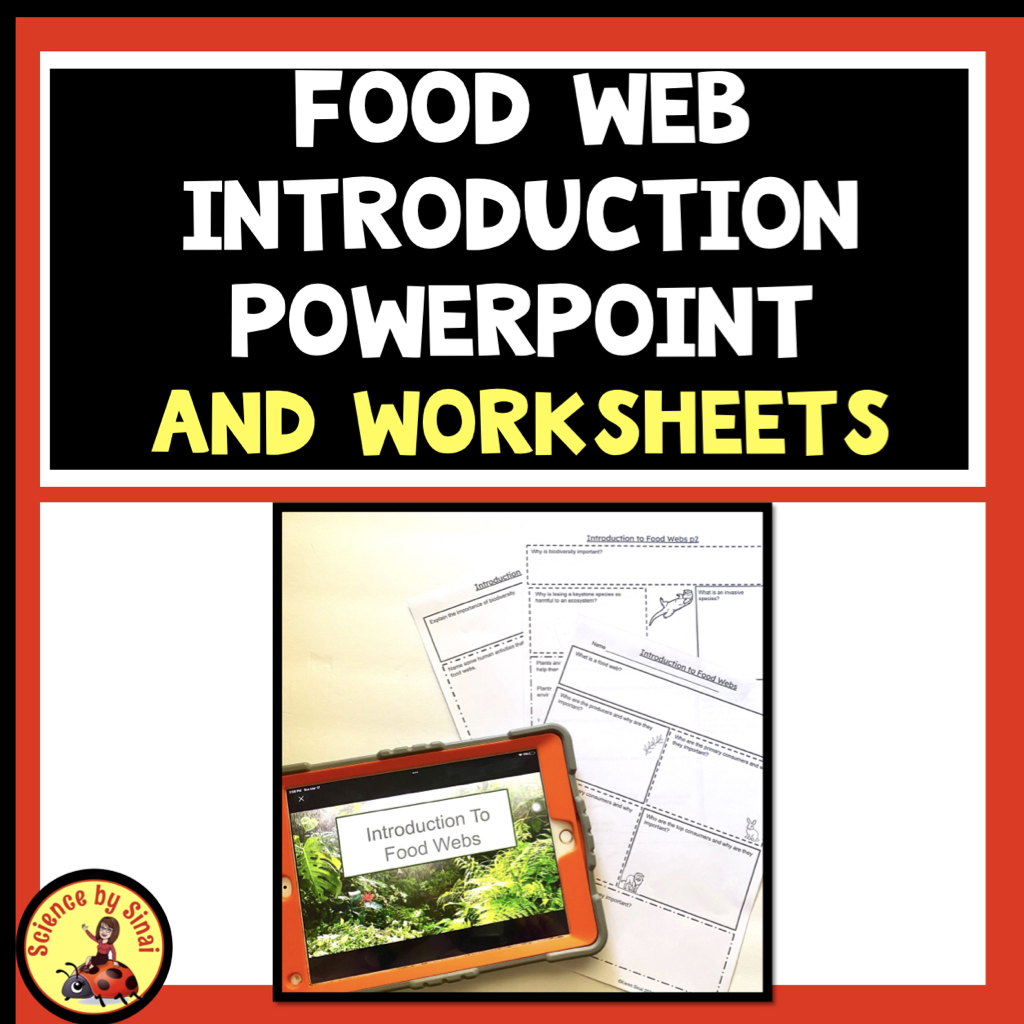 Food web PowerPoint science by sinai