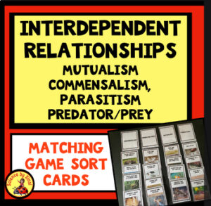 Interdependent relationships matching sort games iencebysinai.com