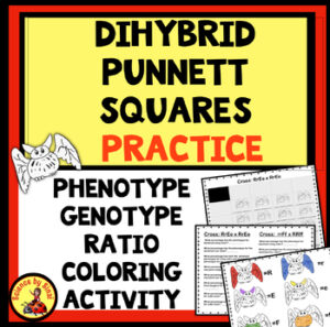 Dihybrid Punnett squares coloring activity sciencebysinai.com