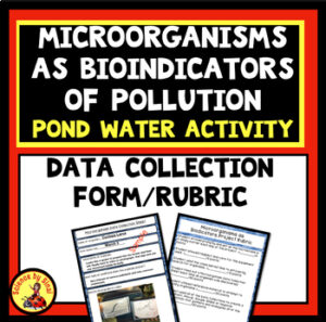 Identifying microorganisms in pond water data form   Sciencebysinai.com