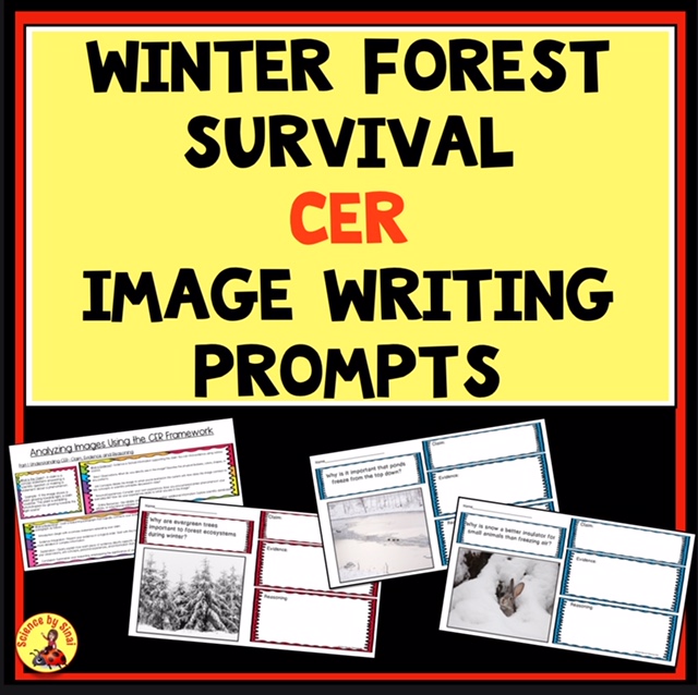 CER Winter Survival Image Prompts