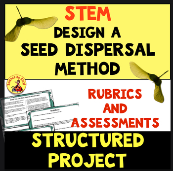 Stem seed dispersal project sciencebysinai.com